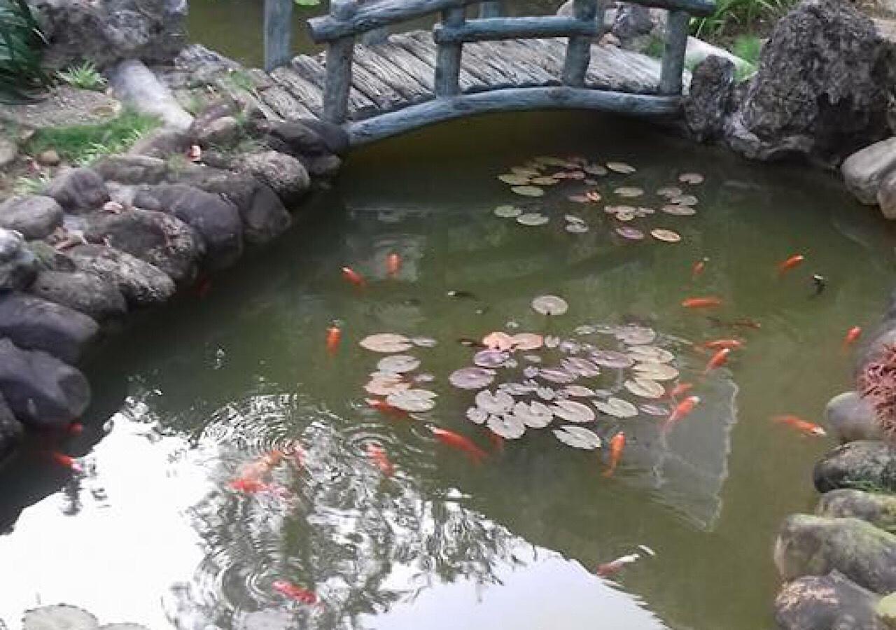 Ciel Homestay Hue Exteriör bild